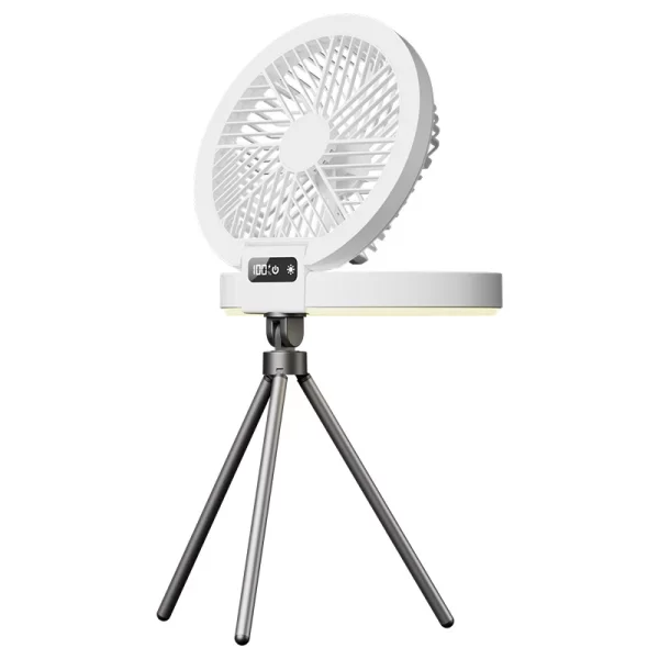 Bulk Portable Fans, Wholesale Desk Fans With Dual Light-4
